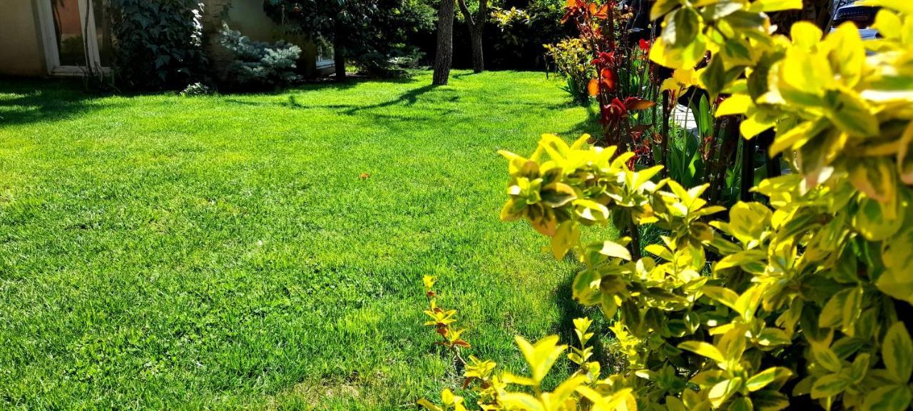 Green Garden Tiflis Dış mekan fotoğraf